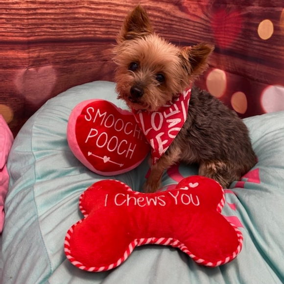 Meet your Posher, Seema - Picture 11 of 14